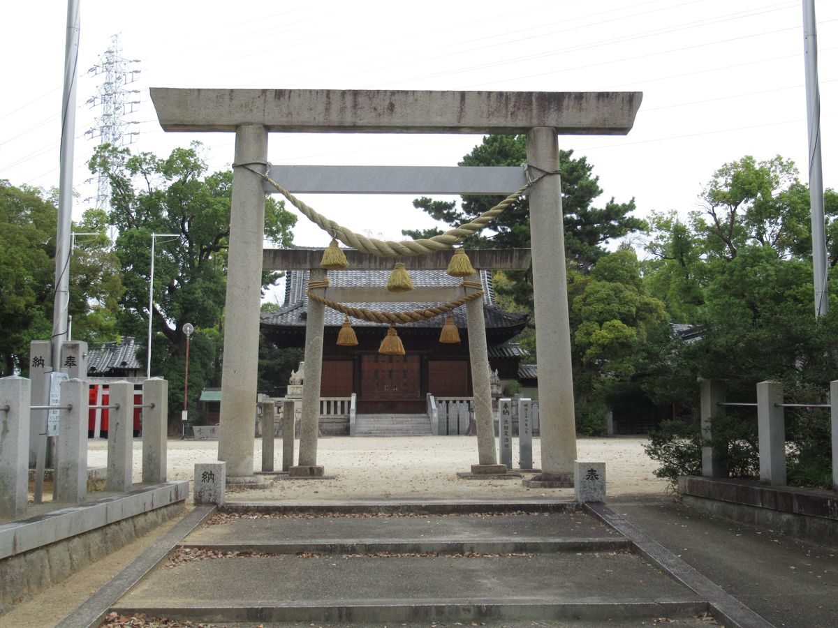 写真1
