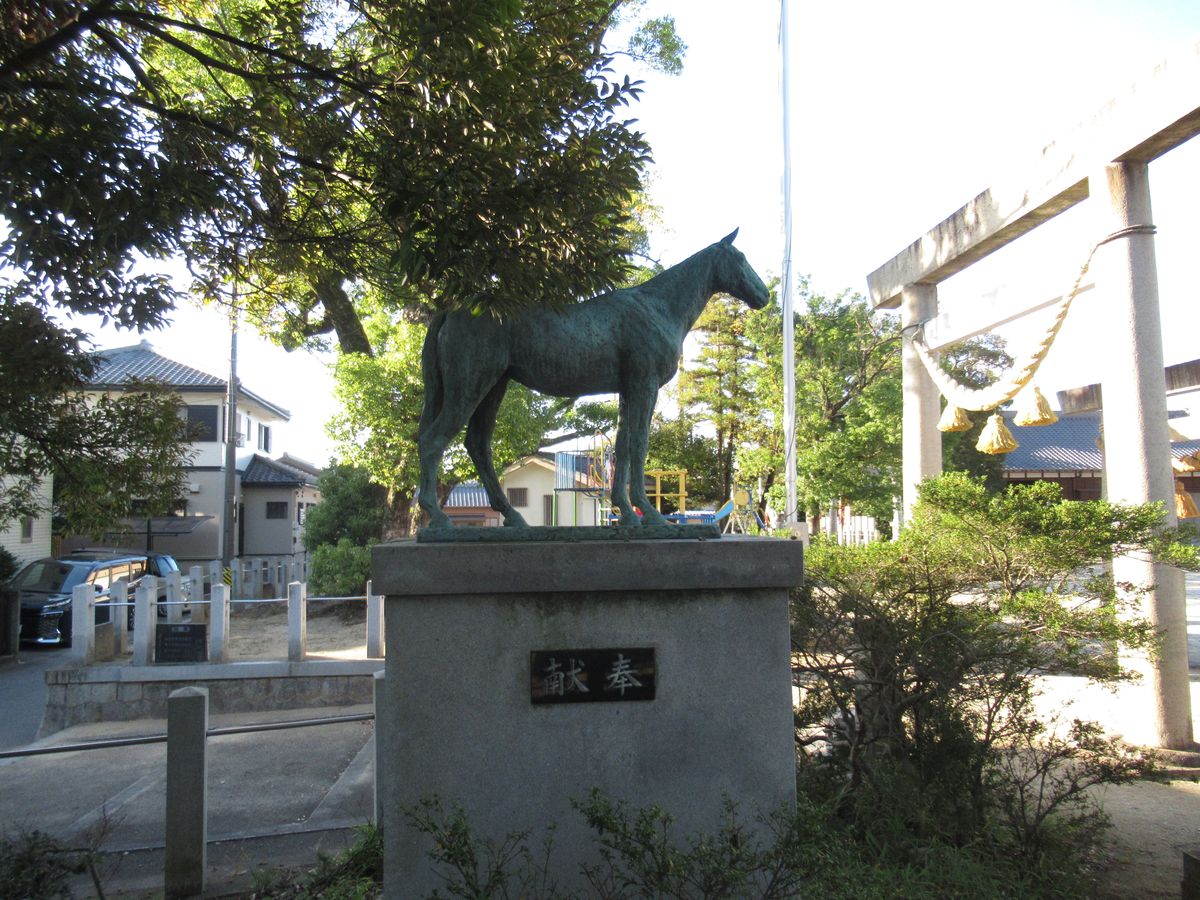 写真11
