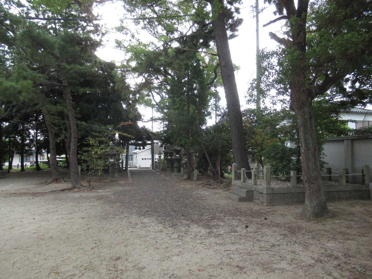 写真12