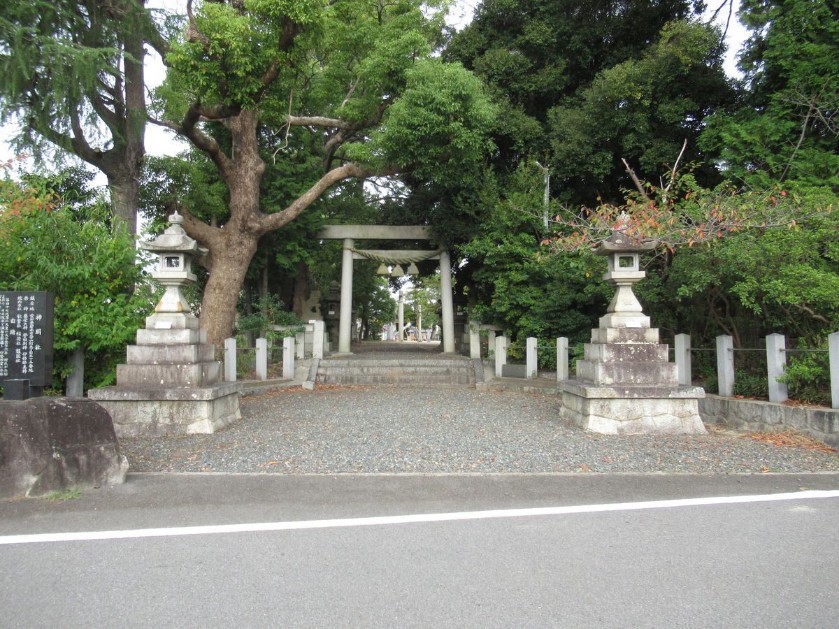 写真5