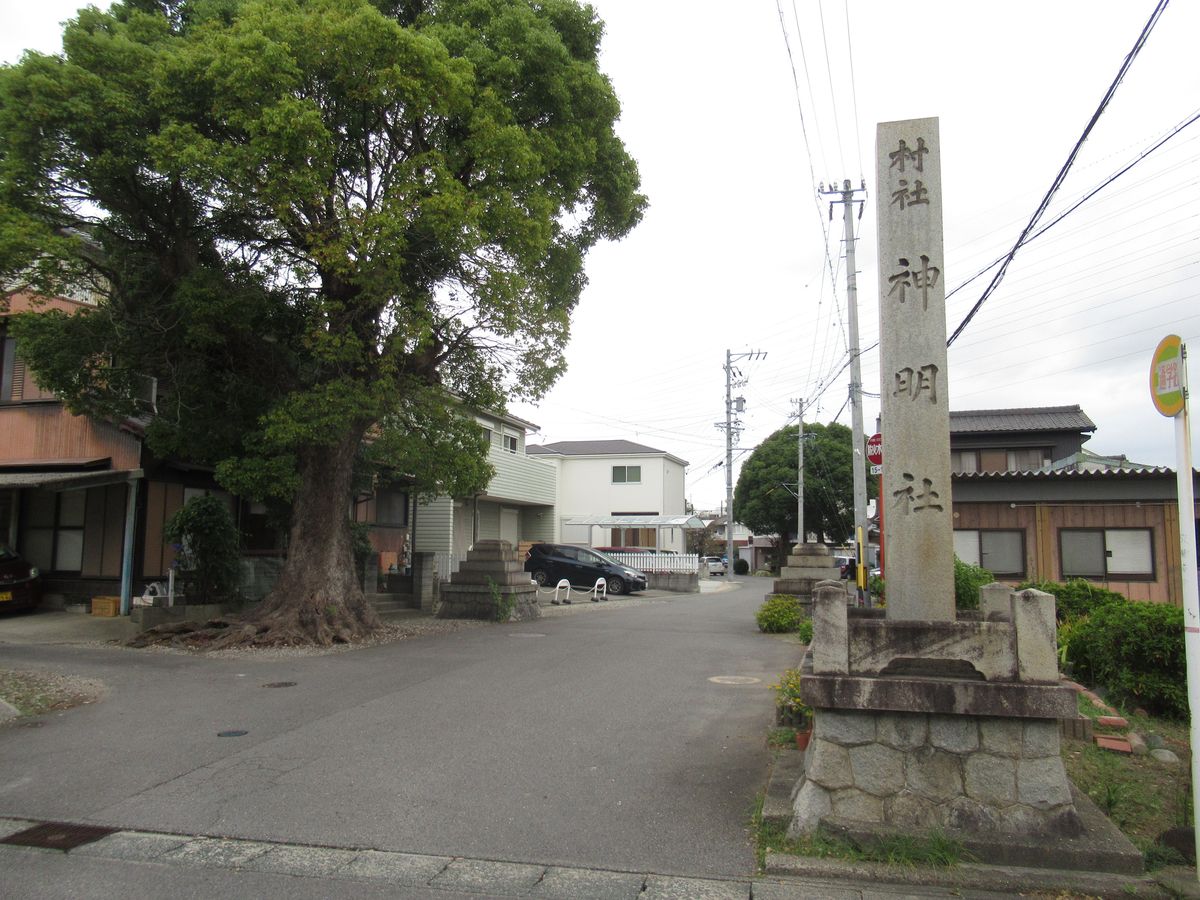 写真7
