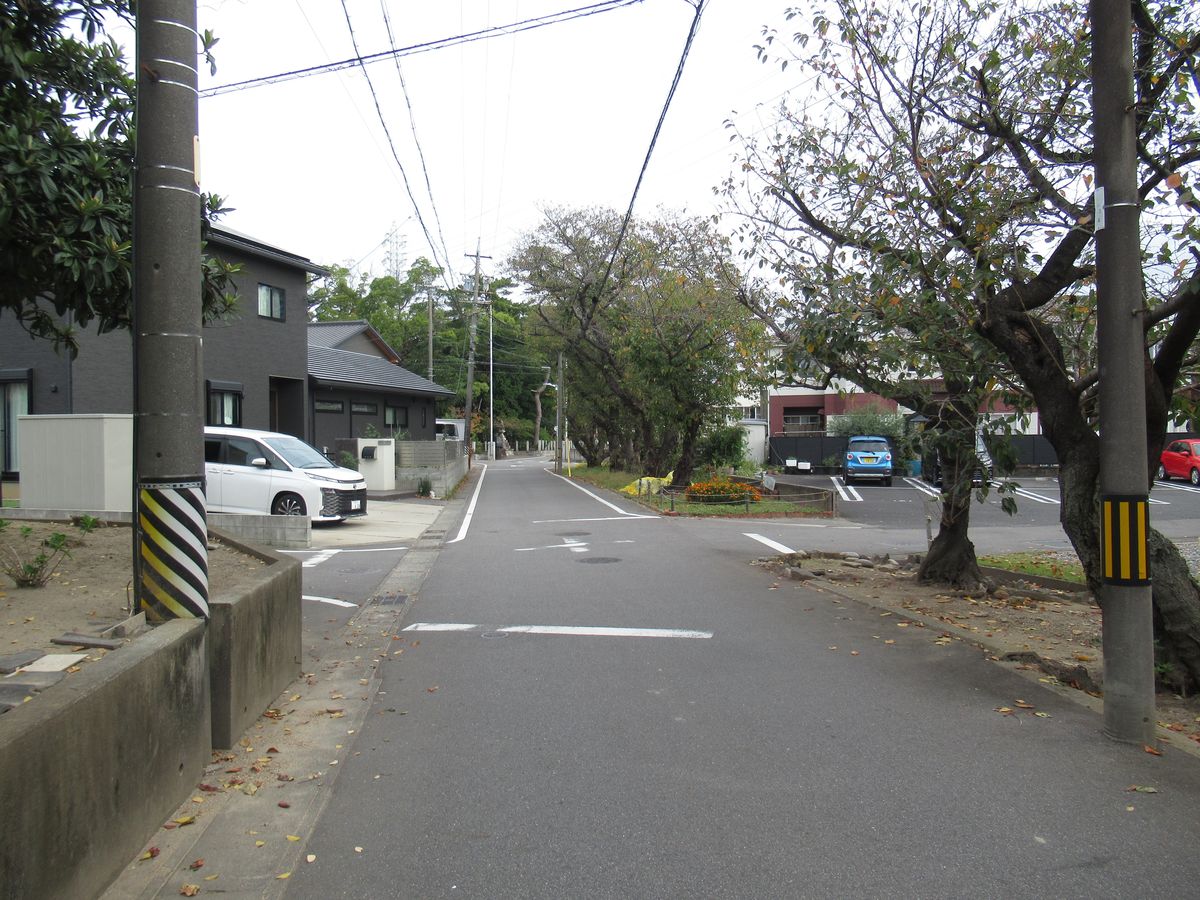 写真8